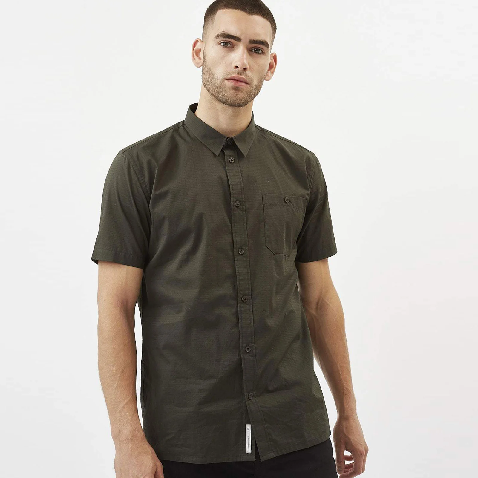 Asser Shirt rosin - Image 2