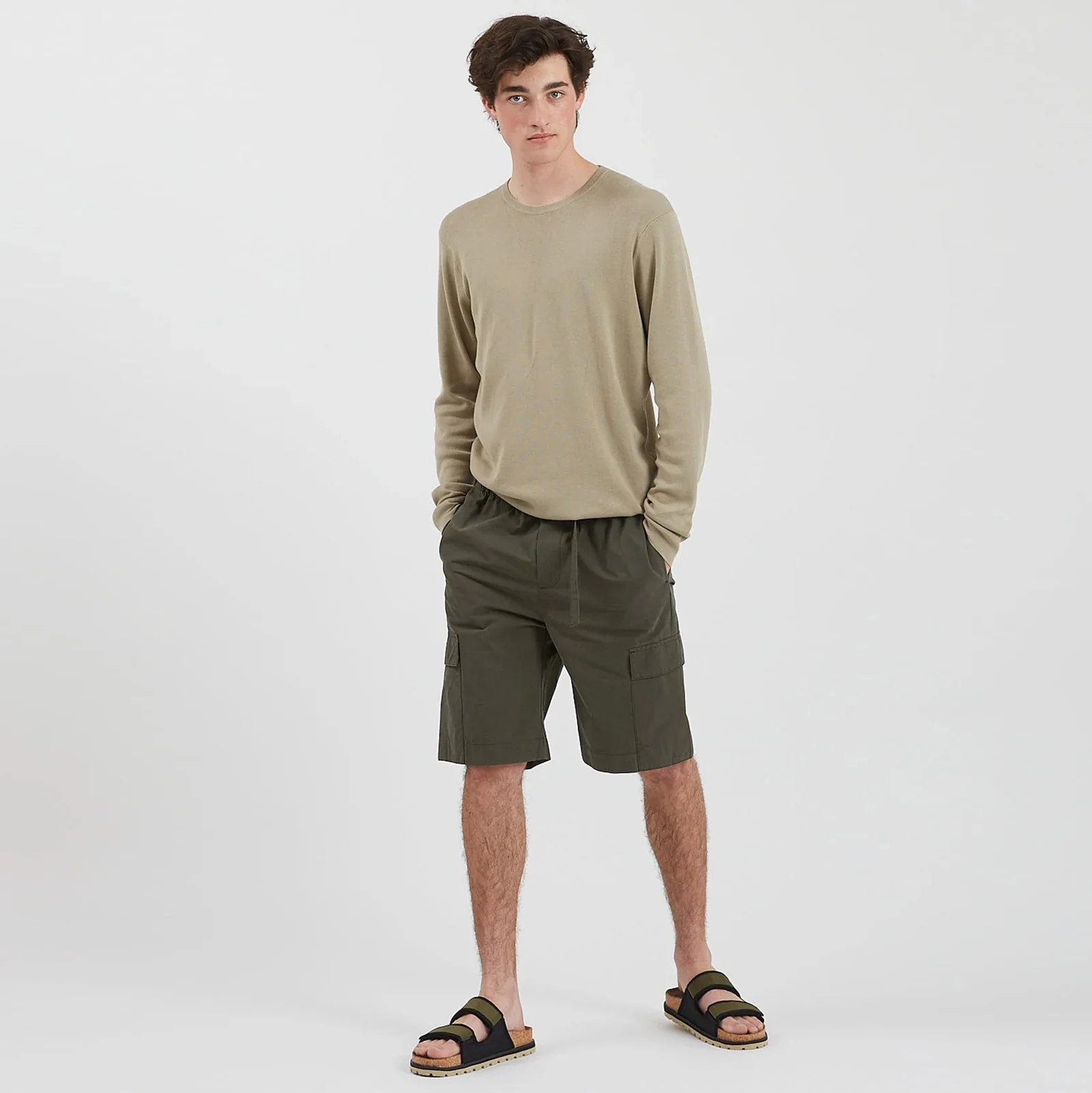 Belto Shorts beetle - Image 2