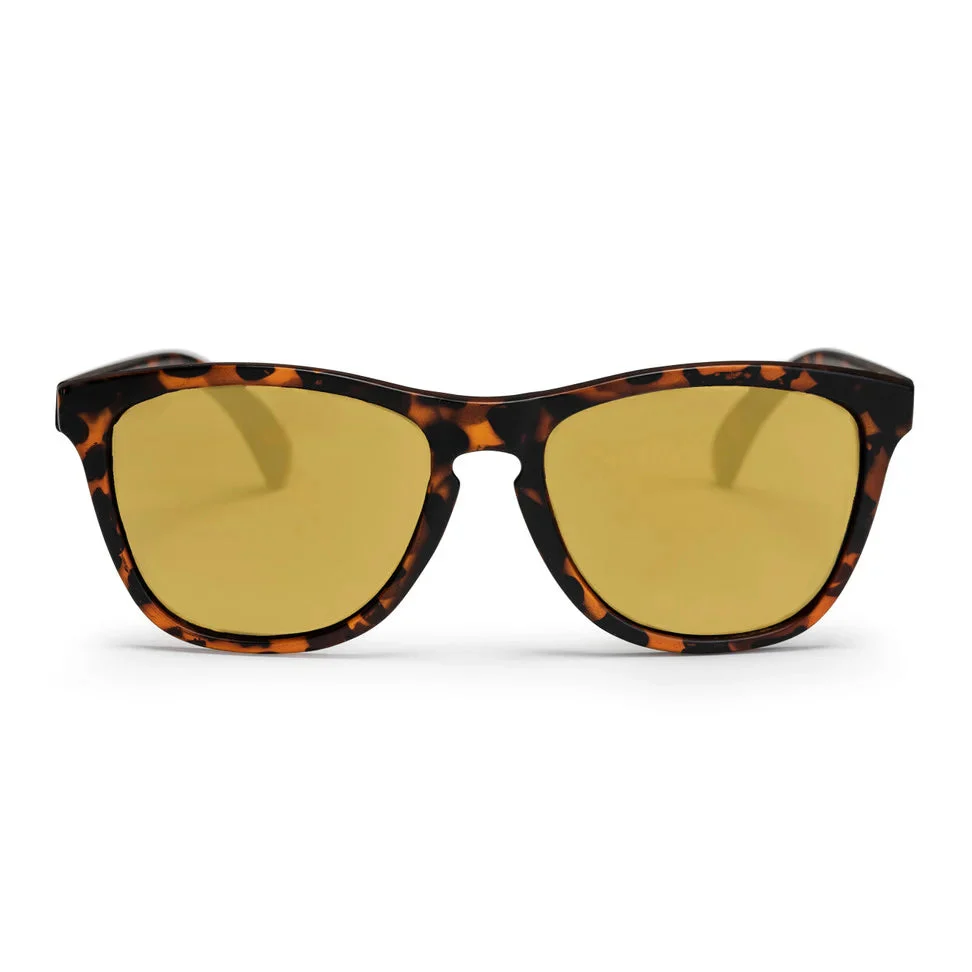 Bodhi Sunglasses turtle brown/brown