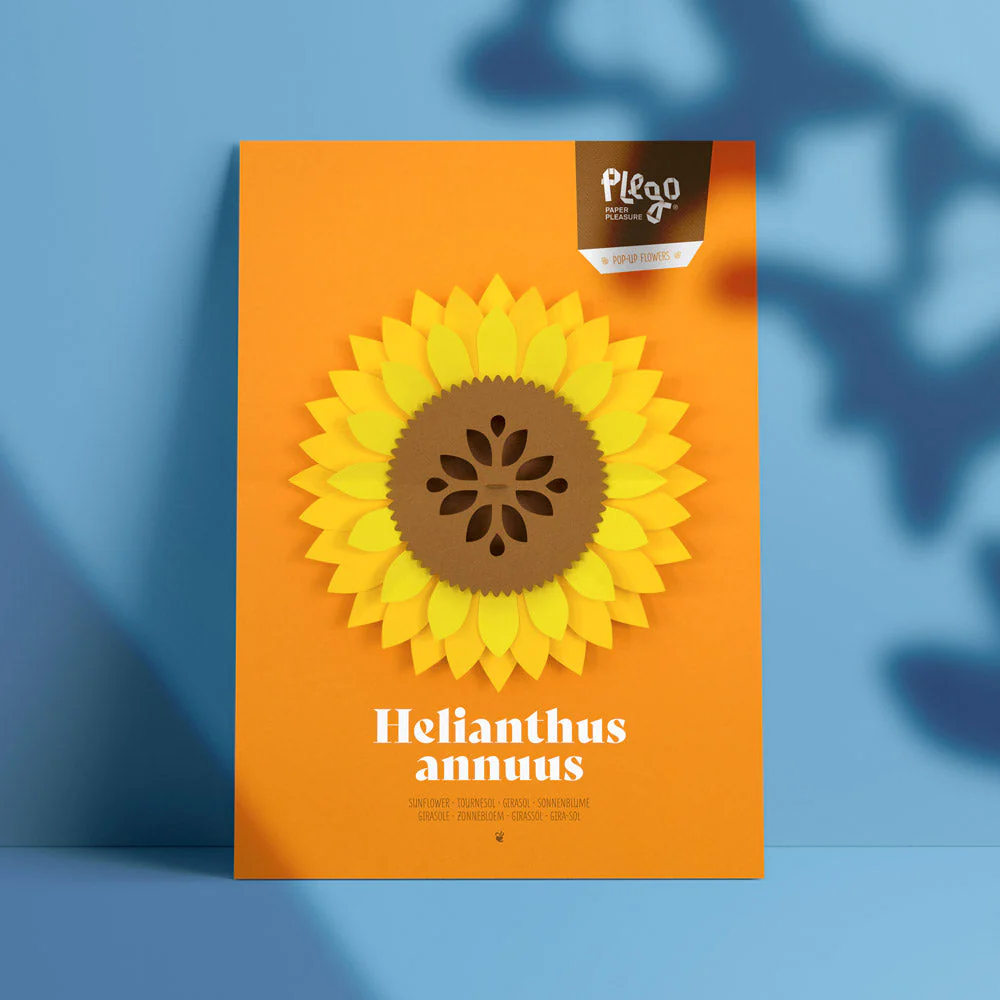 Helianthus Annuus Paper Figure Kit