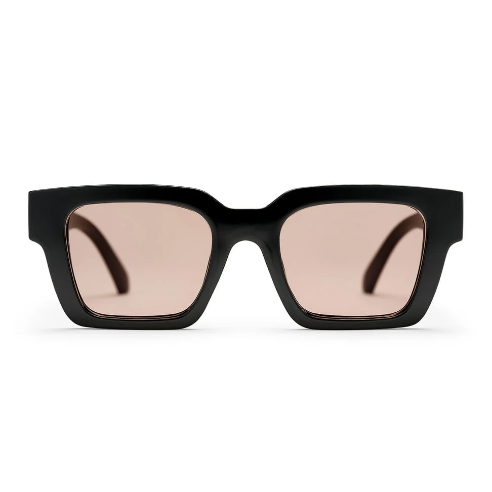 Max Sunglasses black/brown